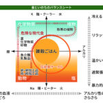 日本生まれのビーガン食システム 未来食つぶつぶ＜４＞酸とアルカリ